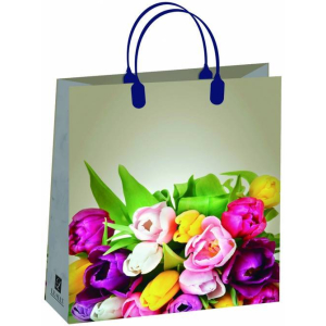 Сумка из мягкого пластика 23x26 +10 / S (Майские краски) Сумка из мягкого пластика 23x26 +10 / S (Майские краски)