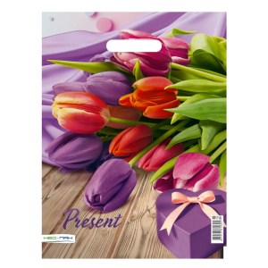 Пакеты с прорезной ручкой 31x40 НП ЛАМИНАТ 25шт/уп/1000шт/кор (Презент) Пакеты с прорезной ручкой 31x40 НП ЛАМИНАТ 25шт/уп/1000шт/кор (Презент)